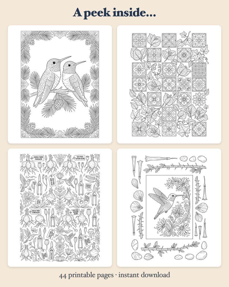 Libro para colorear de colibríes en PDF, flores mexicanas, botánica, páginas para colorear para adultos, imprimibles, diseños de Tenango Otomí Talavera, descarga instantánea. imagen 2