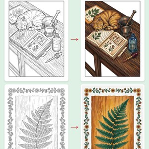 Magical Apothecary Coloring Book — Cozy Potion Shop Printable PDF for Adults, 44 Pages, Instant Download imagen 3