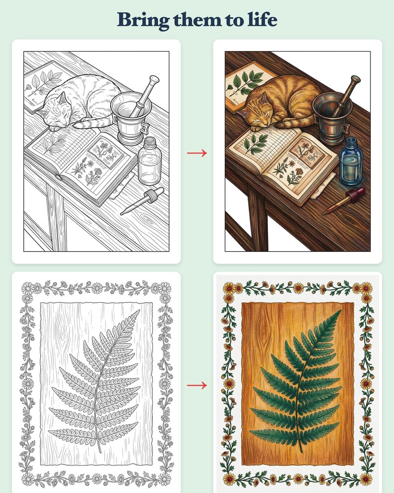 Magical Apothecary Coloring Book — Cozy Potion Shop Printable PDF for Adults, 44 Pages, Instant Download imagen 3
