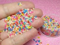 Funfetti decoden sprinkles 1 teaspoon or tablespoon polymer clay miniature kawaii rainbow jimmies confetti fake candy Supplies