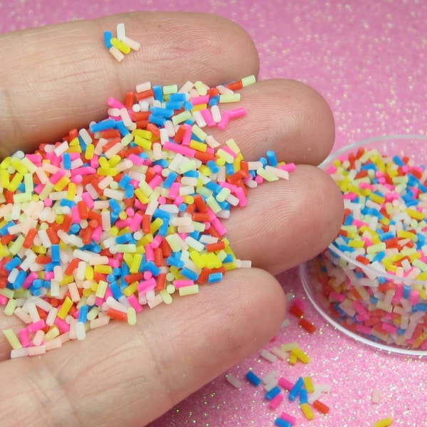 Funfetti decoden sprinkles 1 teaspoon or tablespoon polymer clay miniature kawaii rainbow jimmies confetti fake candy Supplies