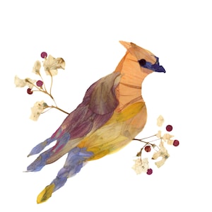 Cedar waxwing Notecard