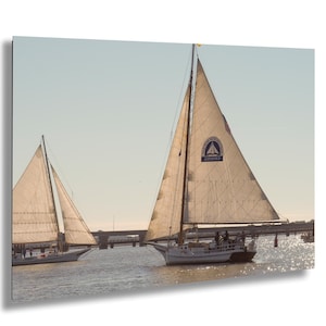 以下が含まれることがあります： 白い帆を持つ2隻のヨットが水上を航行しています。帆は三角形でロゴが付いています。ボートは橋の下を通過しています。水面は太陽の光で輝いています。