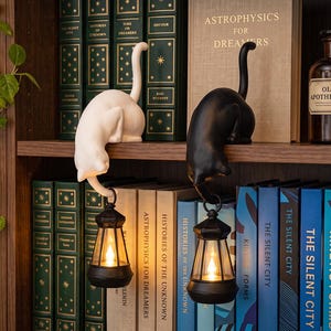 May include: Two cat-shaped ornaments, one white and one black, perched on a shelf. Each cat holds a small, dark-colored lantern with a warm, glowing light suspended from its tail. The figures are positioned among various hardcover books.