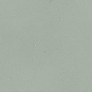 The image is a plain, light green color with small white specks scattered throughout, resembling a desert landscape.