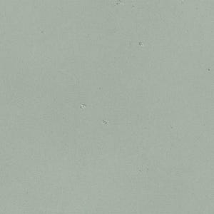 The image is a plain, light green color with small white specks scattered throughout, resembling a textured surface or a piece of paper.
