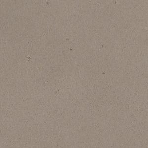 The image is a close-up of a textured surface, possibly a wall or a piece of paper, with a neutral beige color. There are small white specks scattered across the surface, adding some detail and contrast to the overall image.