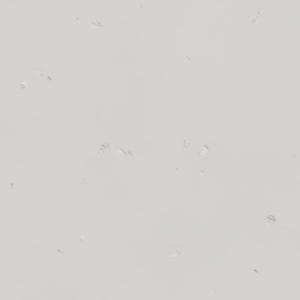The image is a plain white background with small, scattered spots or specks of color, resembling a light-colored fabric or a white surface with some small details.