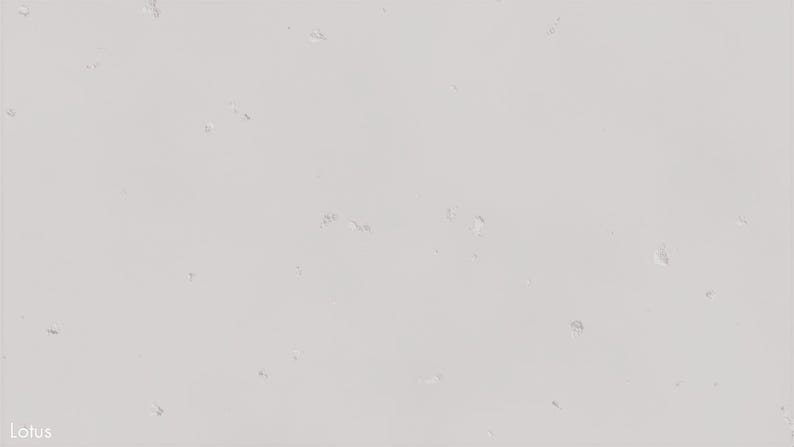 The image is a plain white background with small, scattered spots or specks of color, resembling a light-colored fabric or a white surface with some small details.