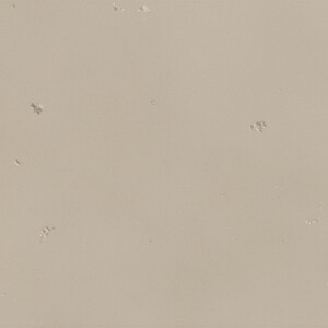 The image is a plain, light beige surface with small, irregularly shaped holes or specks scattered across it.