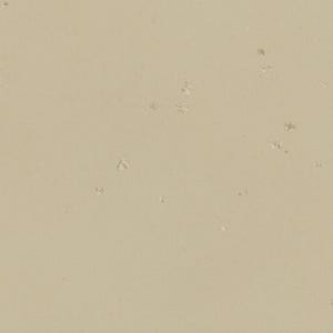 The image is a close-up of a beige surface with small white spots scattered across it.