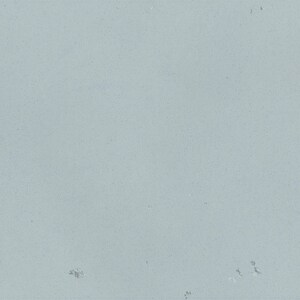The image is a plain, light blue background with some small, white specks scattered throughout.