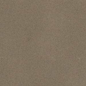 The image is a close-up of a textured surface, possibly a wall or a piece of fabric, with a warm grey color.