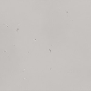 Campione di piastrella, anteprima del colore lucido - Pezzo singolo in cemento GFRC da 5" / Texture della superficie reale, etichetta QR