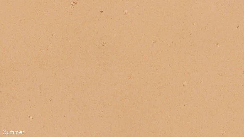 The image is a close-up of a textured surface, possibly a wall or a piece of fabric, with a warm, peach-colored hue. There are small, irregularly shaped specks or specks of color scattered throughout the image, adding texture and depth to the overall composition.
