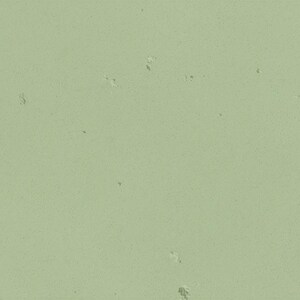 The image is a pale green color with small white spots scattered throughout, resembling a light green or minty color.
