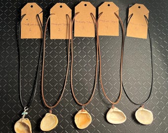 Collana di conchiglie medie