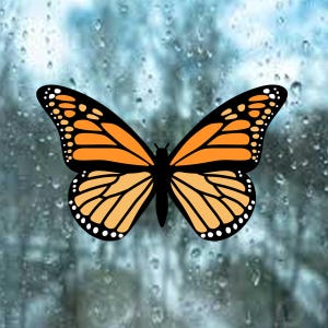 May include: A monarch butterfly decal featuring vibrant orange and black wings with white spots along the edges. The butterfly is displayed in a symmetrical, open-wing position, showcasing the detailed vein patterns characteristic of the species.