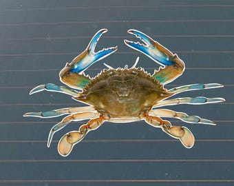 Blue Crab Vinyl Decal |