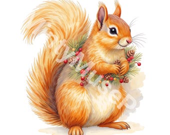 Weihnachten Eichhörnchen Clipart Bundle | Niedliches Eichhörnchen PNG, Winter Illustrationen, Wald Clip Art