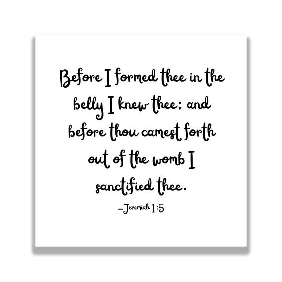 Set of 16 Baby Bible Verse Quilt Squares - Fabric Charm Pack - 3.5", 4.5", or 5" Precut Scripture Fabric