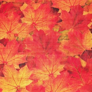 Fall Fabric, Fall Leaf Fabric, By The Yard, Benartex Fabrics, Autumn Leaves, Quilting Crafting Sewing, Novelty Fabric, Autumn Leaves, Cotton