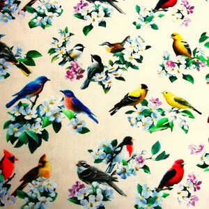 Cardinal Fabric, Chickadee Fabric, Bird Fabric, By The Yard, Spring Fabric, Elizabeth Studios, Sewing Quilting Fabric, Novelty Fabric, image 2