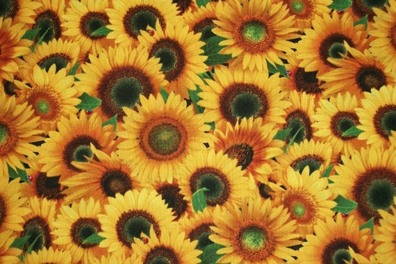Sunflower Fabric, By The Yard, Country Fabric, Elizabeth Studio Fabric, Flower Fabric, Quilting Fabric, Craft Sewing Fabric, Novelty Fabric,