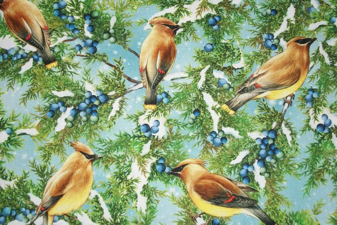 Cedar Waxwing Fabric Bird Fabric By The Yard Winter Fabric Etsy