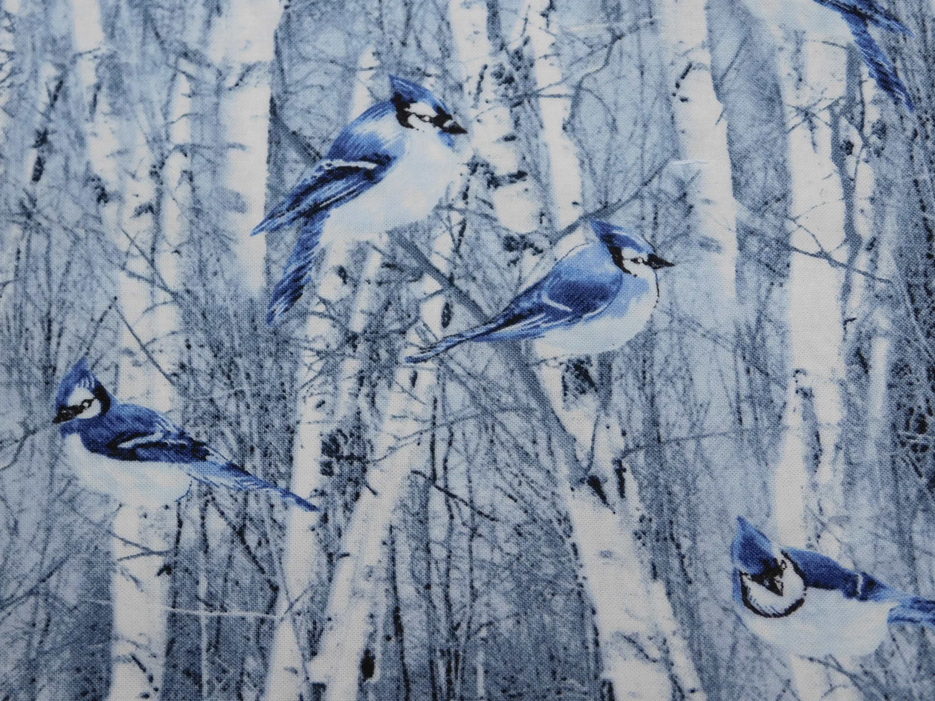 Bird Fabric Blue Jay Fabric by the Yard Winter Fabric Etsy Canada