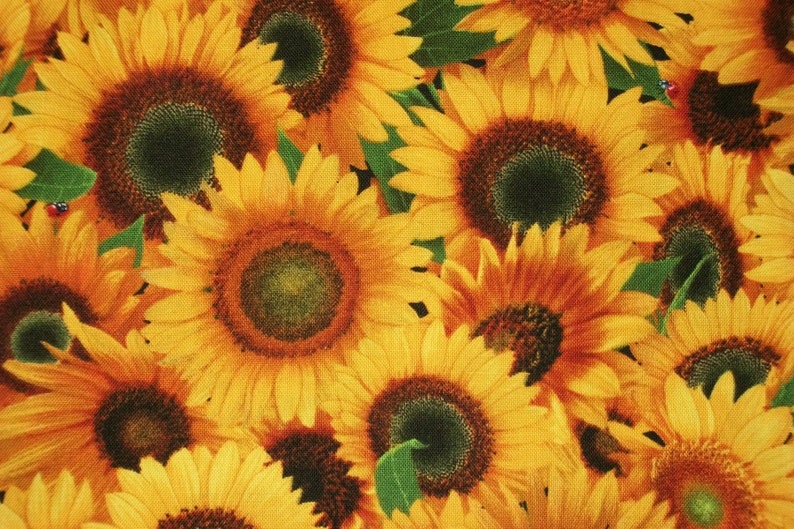 May include: A close-up image of a fabric with a pattern of yellow sunflowers. The sunflowers are in various stages of bloom, with some fully open and others still in bud. The fabric is a light yellow color with a subtle texture.