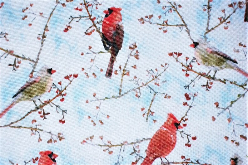 Cardinal Fabric, Bird Fabric, By The Yard, Winter Fabric, Timeless Treasures, Sewing Quilting Fabric, Novelty Fabric, Berries Fabric image 2