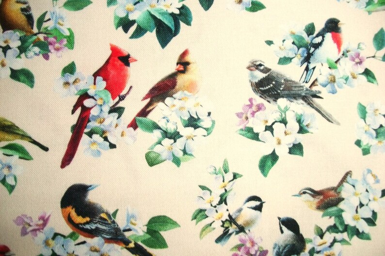 Cardinal Fabric, Chickadee Fabric, Bird Fabric, By The Yard, Spring Fabric, Elizabeth Studios, Sewing Quilting Fabric, Novelty Fabric, image 4