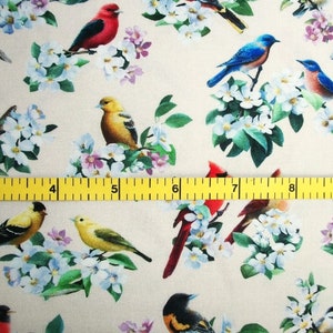 Cardinal Fabric, Chickadee Fabric, Bird Fabric, By The Yard, Spring Fabric, Elizabeth Studios, Sewing Quilting Fabric, Novelty Fabric, image 5