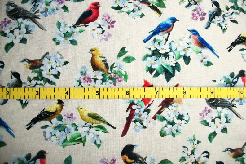 Cardinal Fabric, Chickadee Fabric, Bird Fabric, By The Yard, Spring Fabric, Elizabeth Studios, Sewing Quilting Fabric, Novelty Fabric, image 5