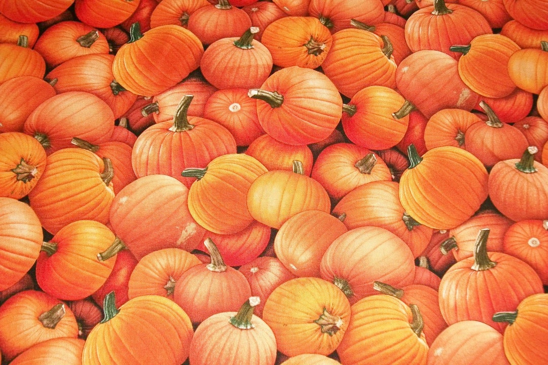Halloween Fabric, Fall Fabric, Pumpkin Fabric, by the Yard, Elizabeth ...