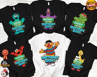 Character Birthday Family matching Shirts, theme Birthday Custom Family Tee, Personalized Family Bella canvas Tees for Birthday