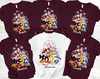 Camiseta Viaje a Disney 2026, Camiseta Viaje a Disney, Camiseta Vacaciones Familiares en Disney, Camiseta Familiar a Juego de Disney, Camiseta Familiar de Disney World 2026