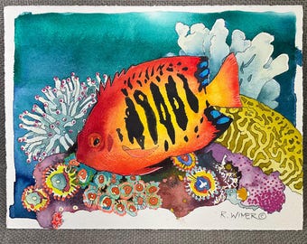 Original Reef Fish Watercolor Painting, Coastal Tropical Wall Decor, Hand Painted Marine Life Art, 9x12” ‘ HAWAIIAN FLAME ANGELFISH’