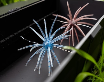 Urchin bait box | coike style bait box | fuzzy ball fishing lure bait box