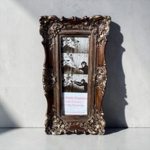 May include: Ornate, rectangular brown picture frame with a decorative, scrolling design. The frame holds three black and white images of a giraffe and a monkey. The bottom of the frame has the text "Little Frames for Big Moments".