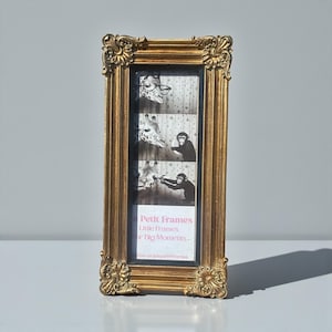 May include: Ornate gold-colored picture frame with a rectangular shape. The frame holds a black and white image of a giraffe and a monkey. The text "Petit Frames Little Frames for Big Moments" is visible at the bottom.