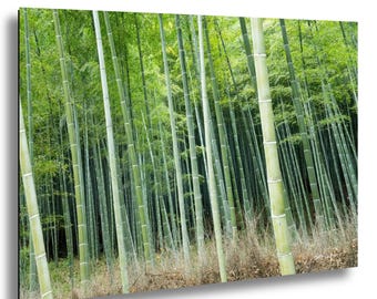 Japan- Arashiyama Sacred Bamboo Grove Japan