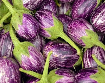 May include: Close-up of a pile of fresh, purple and white striped eggplants with green stems and leaves. The eggplants are oval-shaped and have a glossy appearance. The image is well-lit, showcasing the vibrant colors and textures.