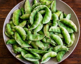 Green Mochai Seeds – Vine Type | Indian Hyacinth Bean | Avarai / Mochai