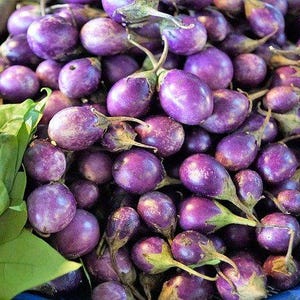 Heirloom Baby Eggplant (Purple Round Thai / Indian)