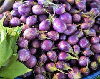 Heirloom Baby Eggplant (Purple Round Thai / Indian)