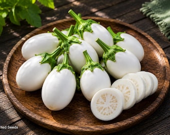 Egg White Eggplant Seeds, Heirloom White Eggplant, Mini Eggplant Seeds, White Aubergine