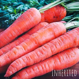 May include: A close-up of several fresh, vibrant orange carrots with green tops. The carrots are arranged in a pile, with some overlapping. The text "INHERITED SEEDS" is visible at the bottom right.