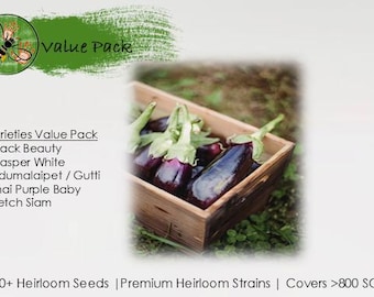 Heirloom Eggplant Seed Collection: 5 Organic Non-GMO Varieties